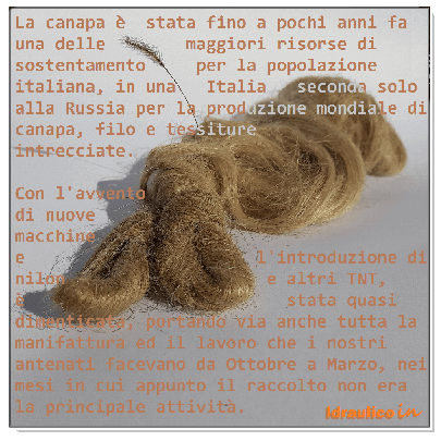 Idraulico-Milano-canapa-impianto